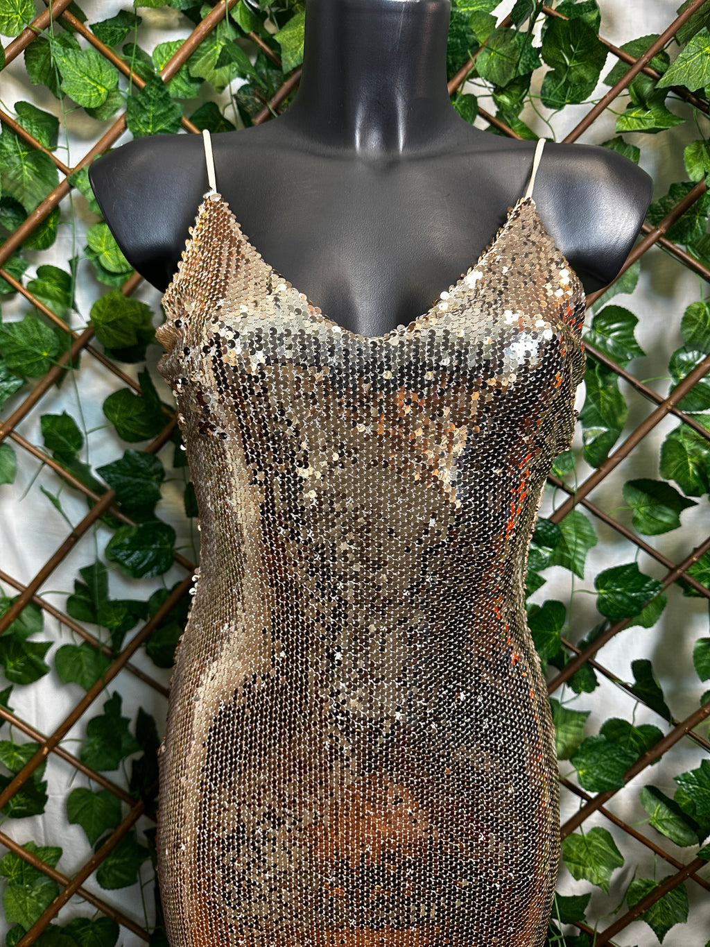 Vestito lungo elegante con le paillettes