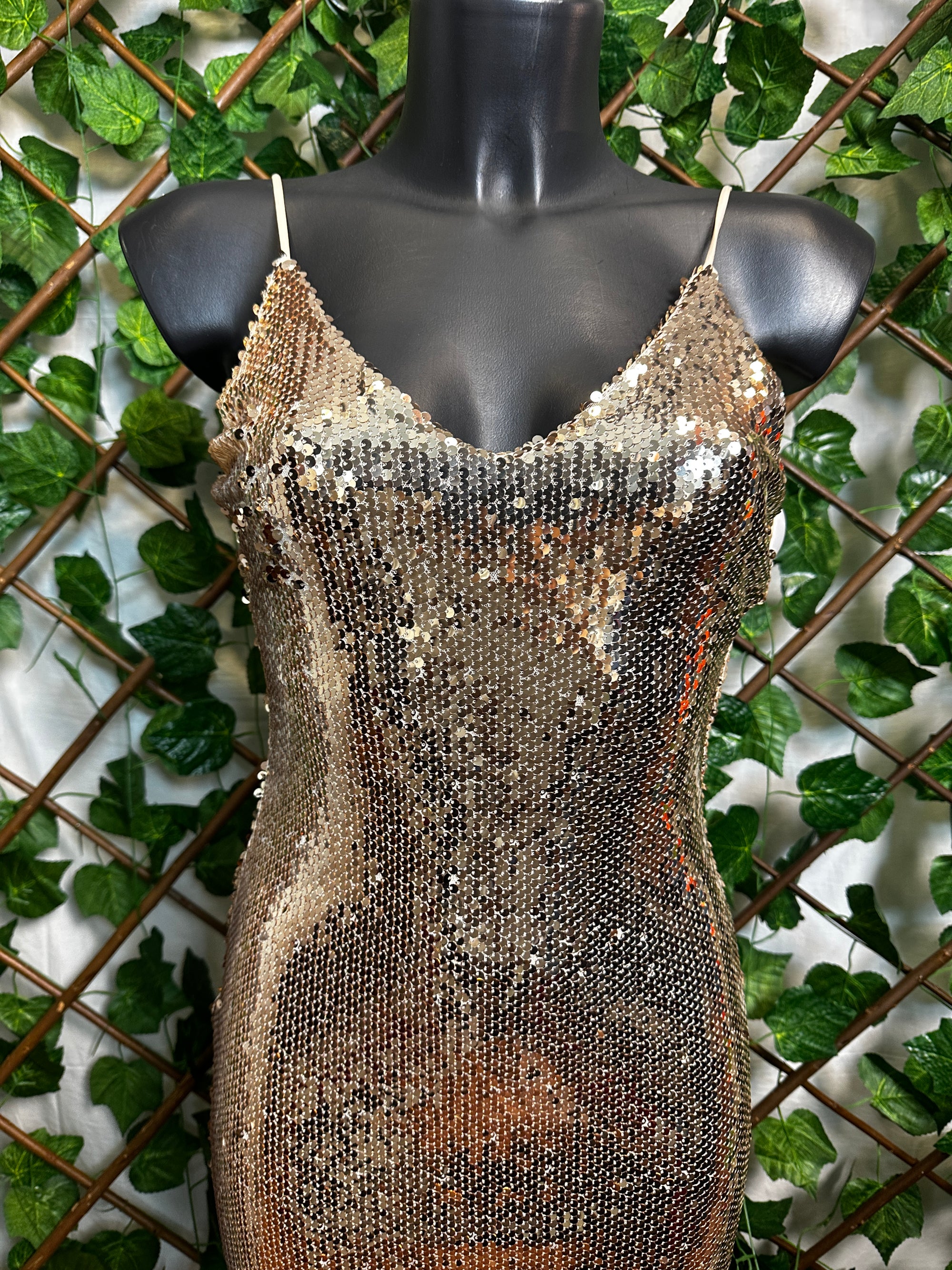 Vestito lungo elegante con le paillettes