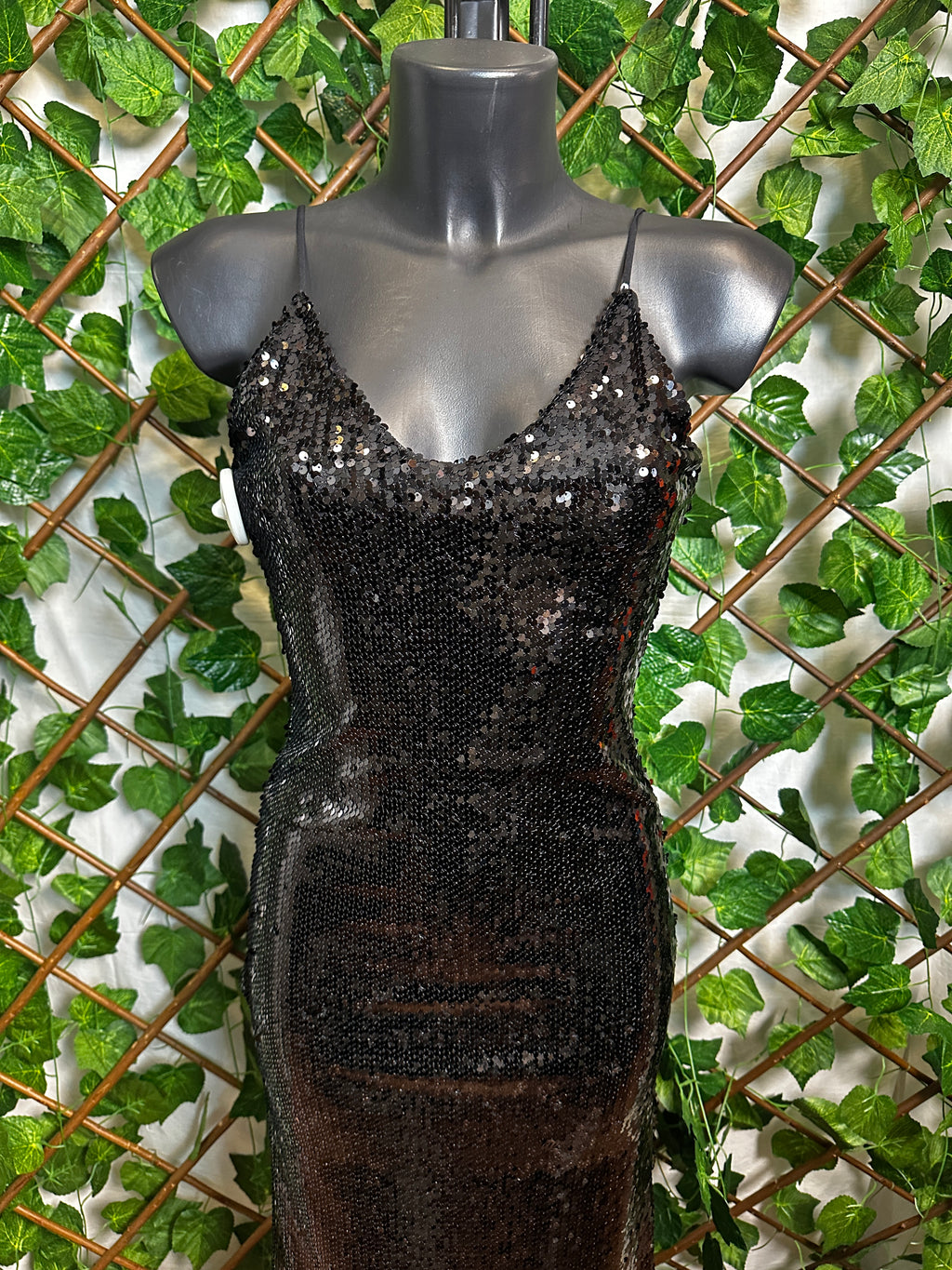Vestito lungo elegante con le paillettes