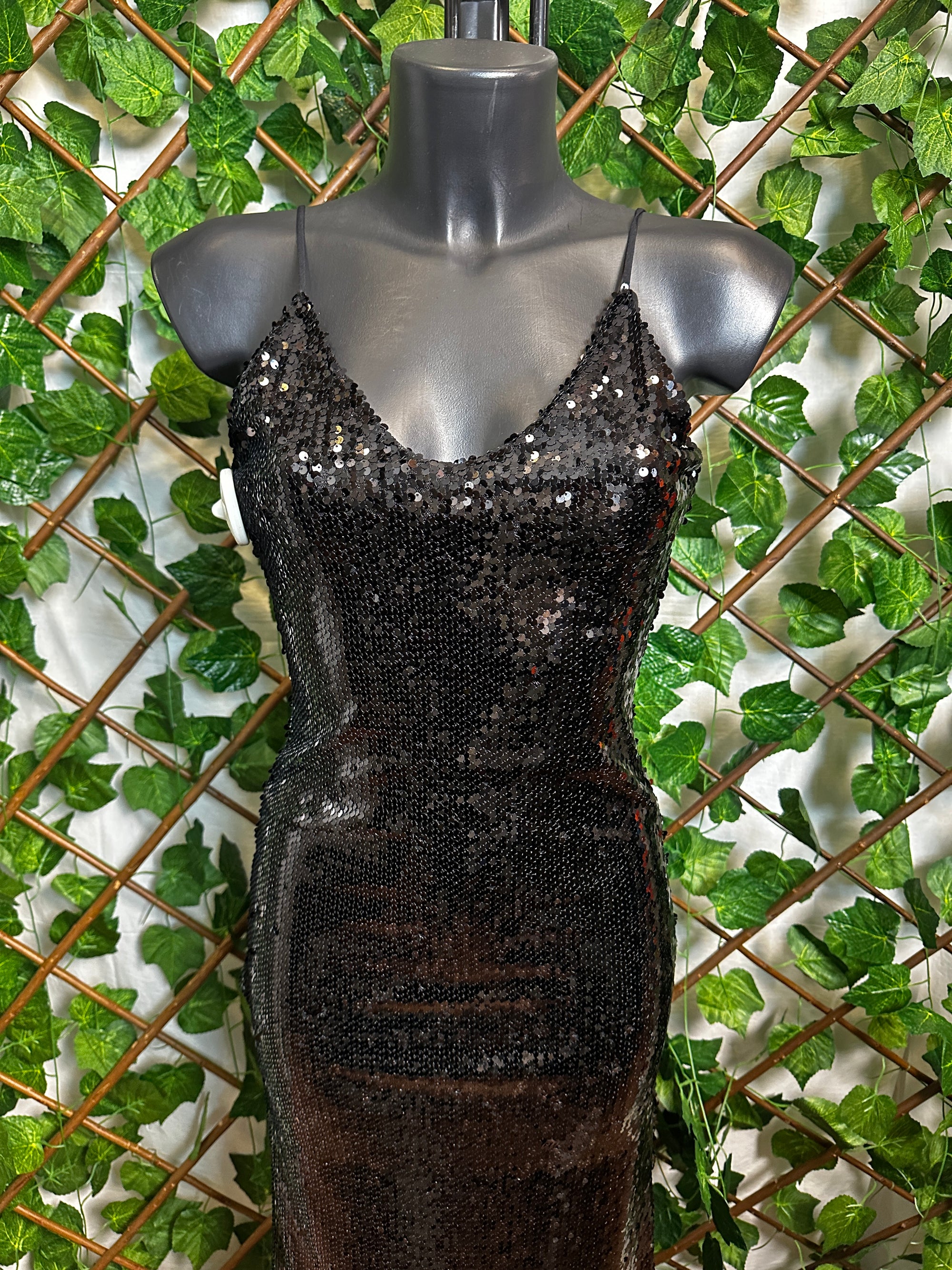 Vestito lungo elegante con le paillettes