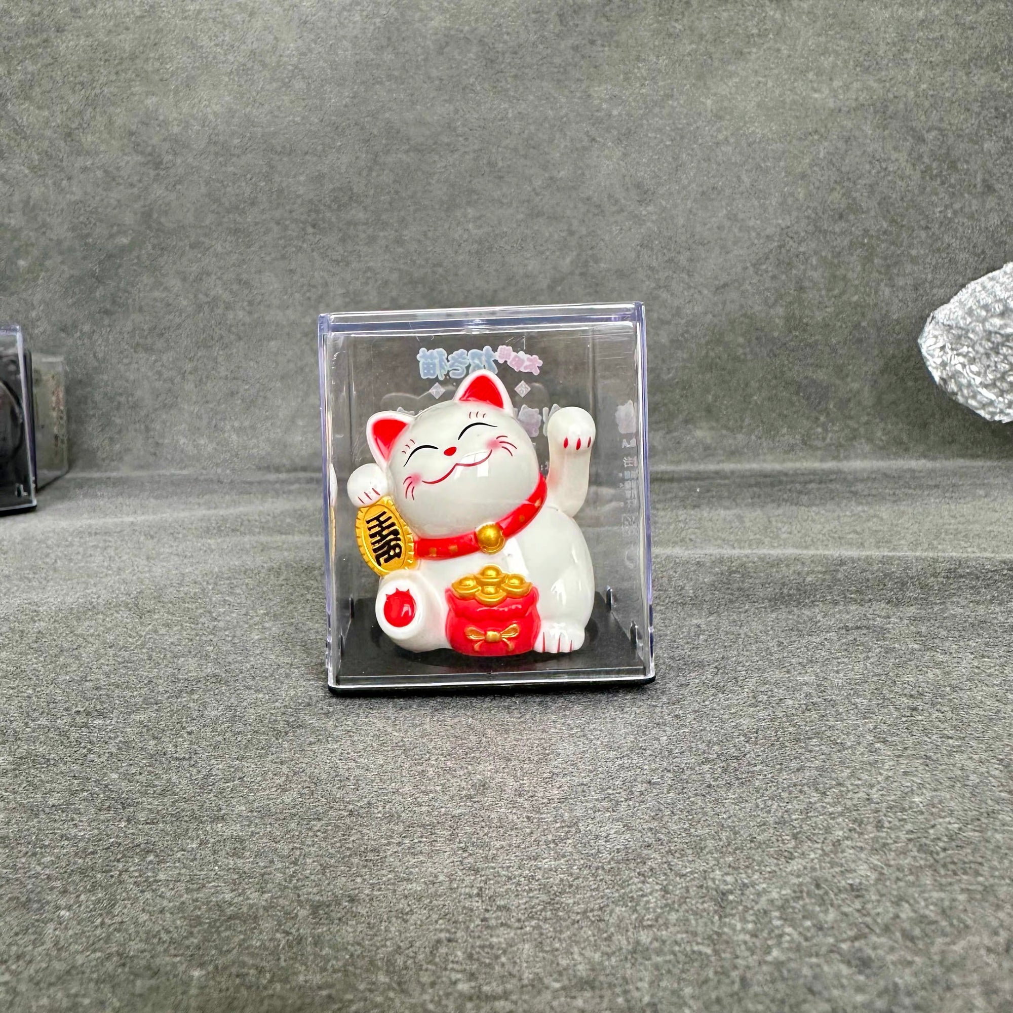 Gattini porta fortuna🐱