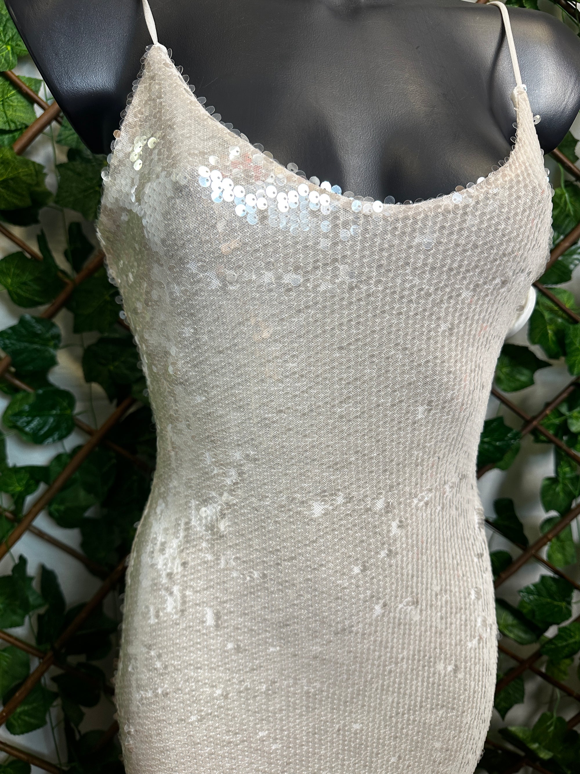 Vestito lungo elegante con le paillettes