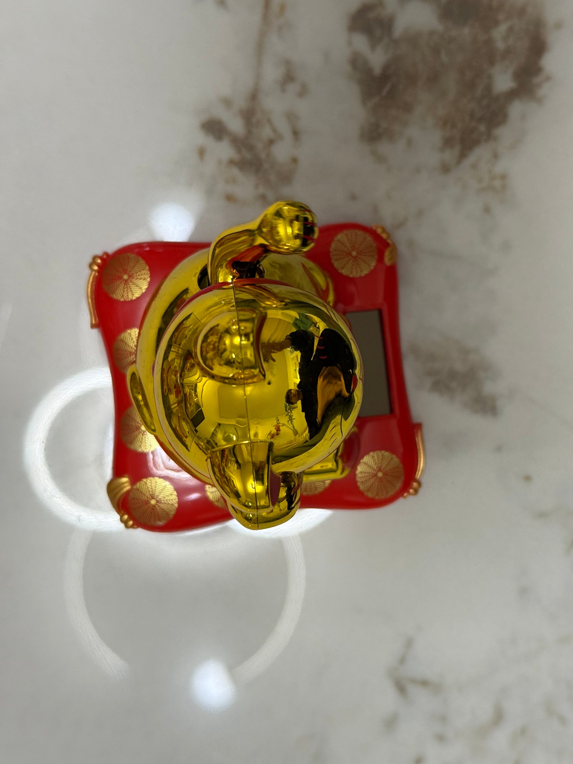 Gattini porta fortuna🐱