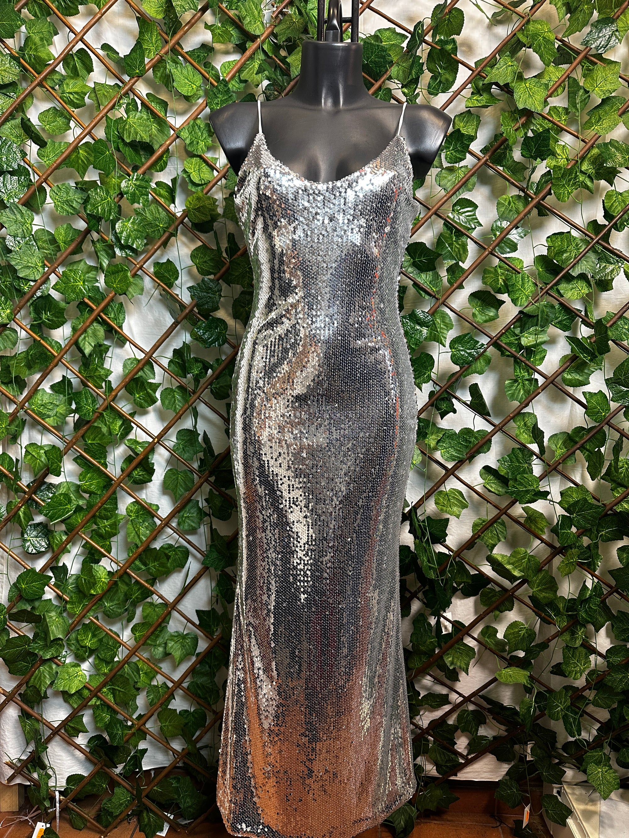 Vestito lungo elegante con le paillettes