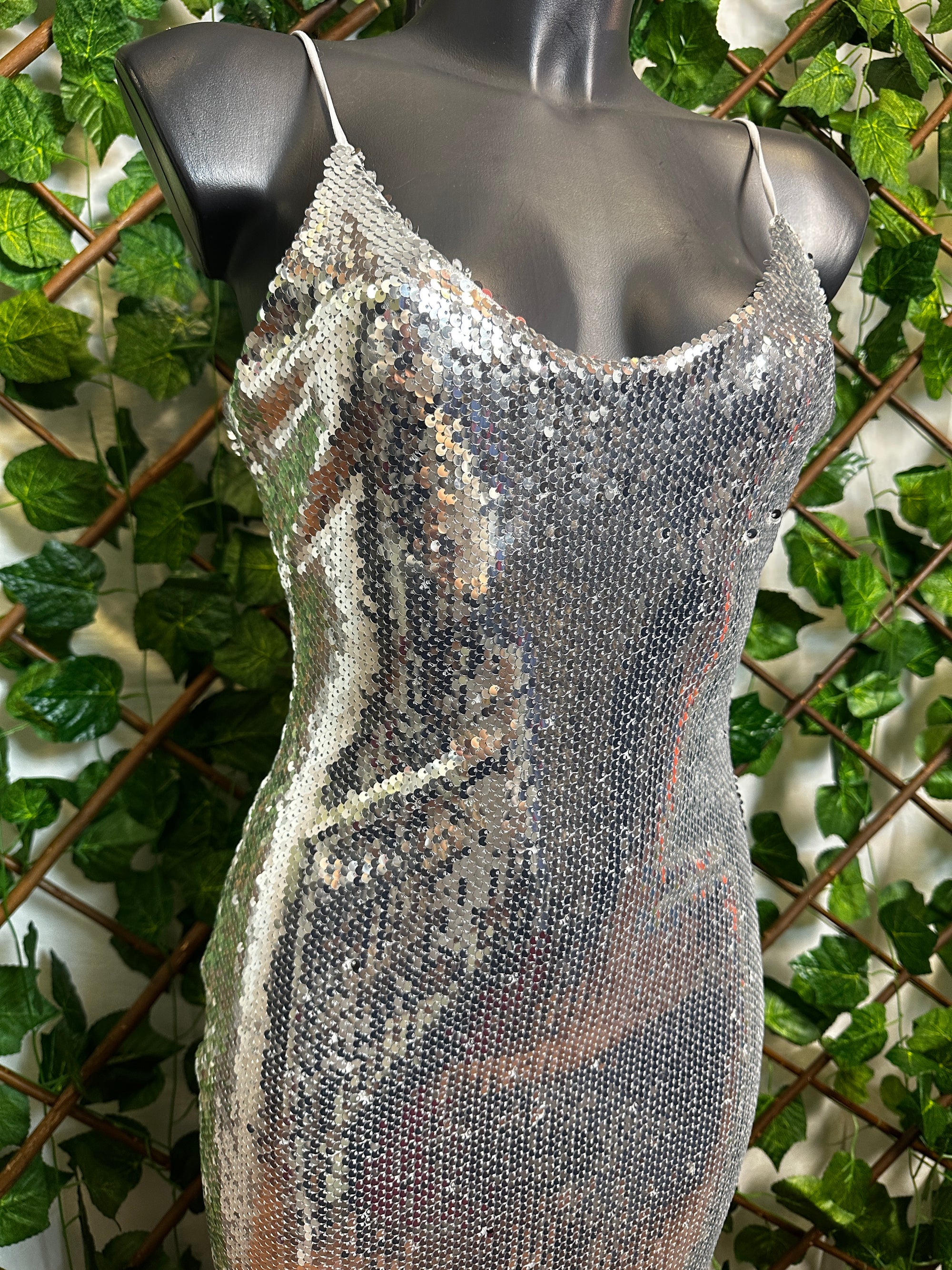 Vestito lungo elegante con le paillettes