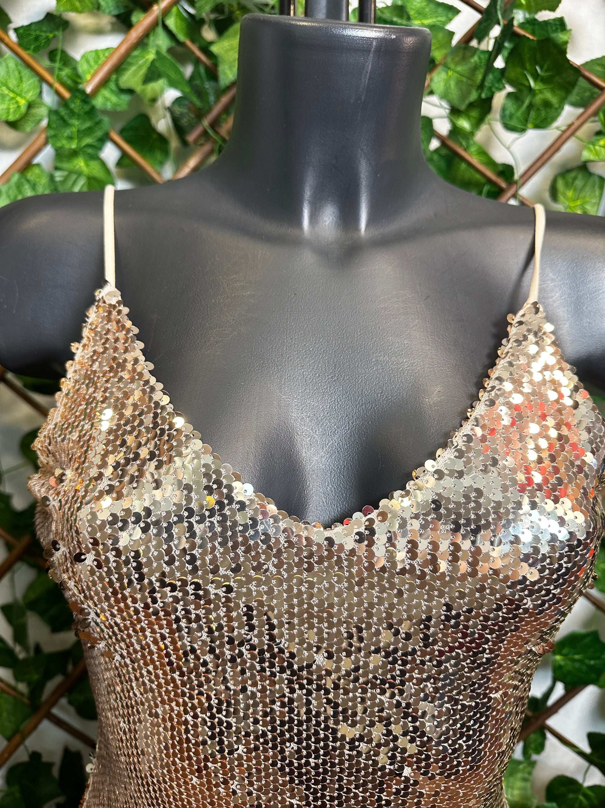 Vestito lungo elegante con le paillettes