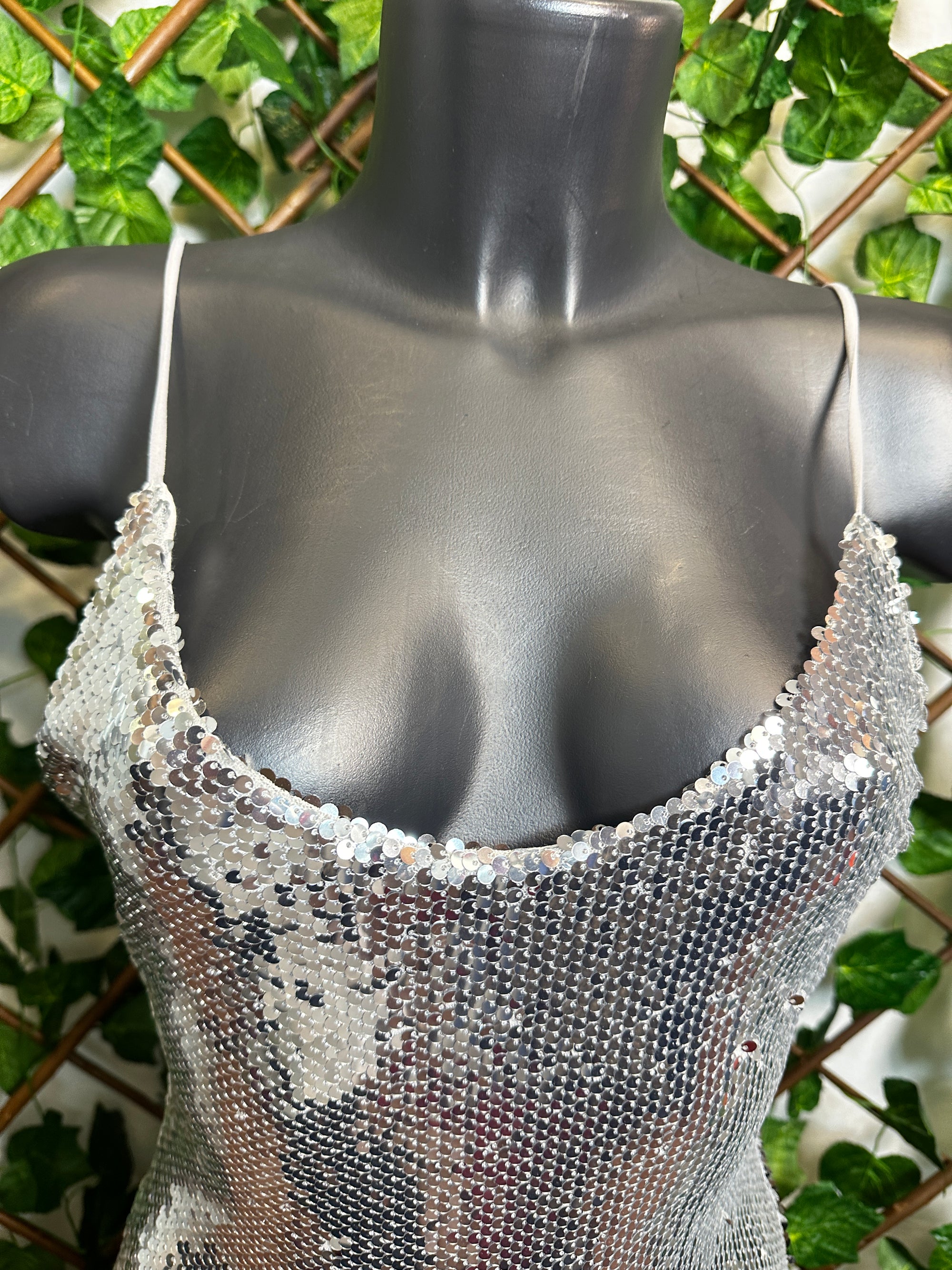 Vestito lungo elegante con le paillettes
