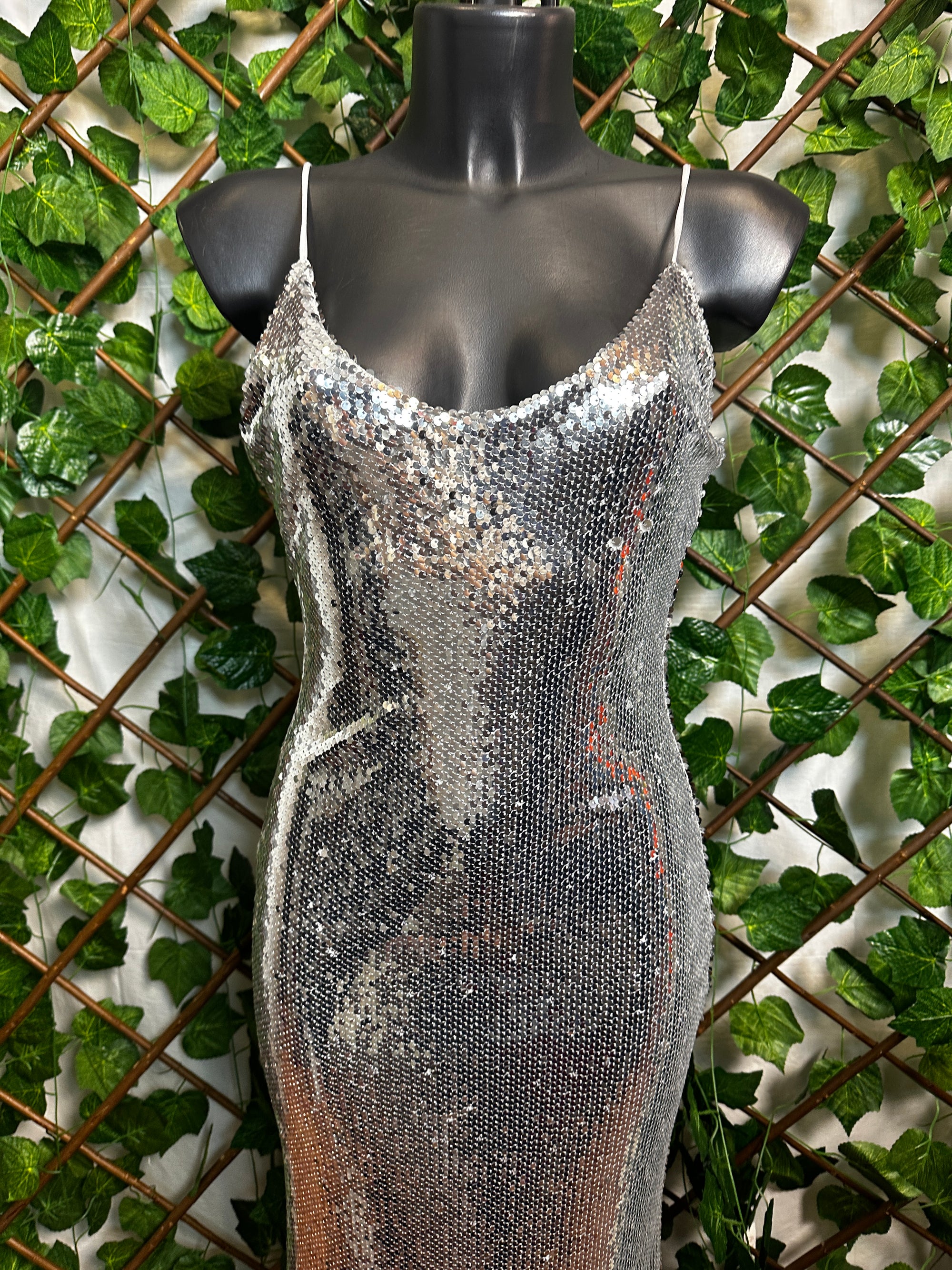 Vestito lungo elegante con le paillettes