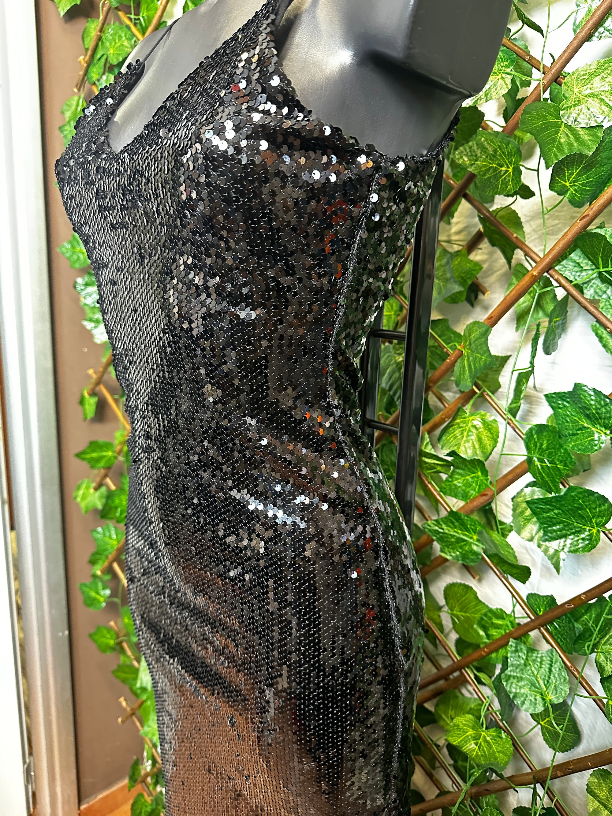 Vestito lungo elegante con le paillettes