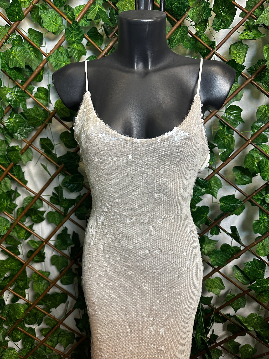 Vestito lungo elegante con le paillettes