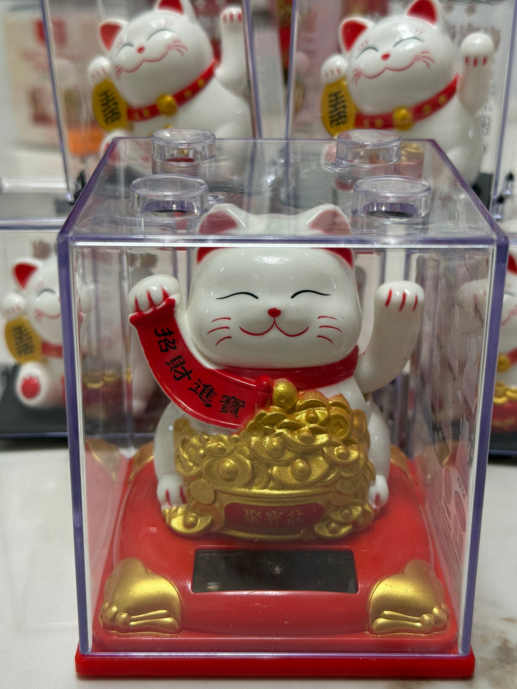 Gattini porta fortuna🐱