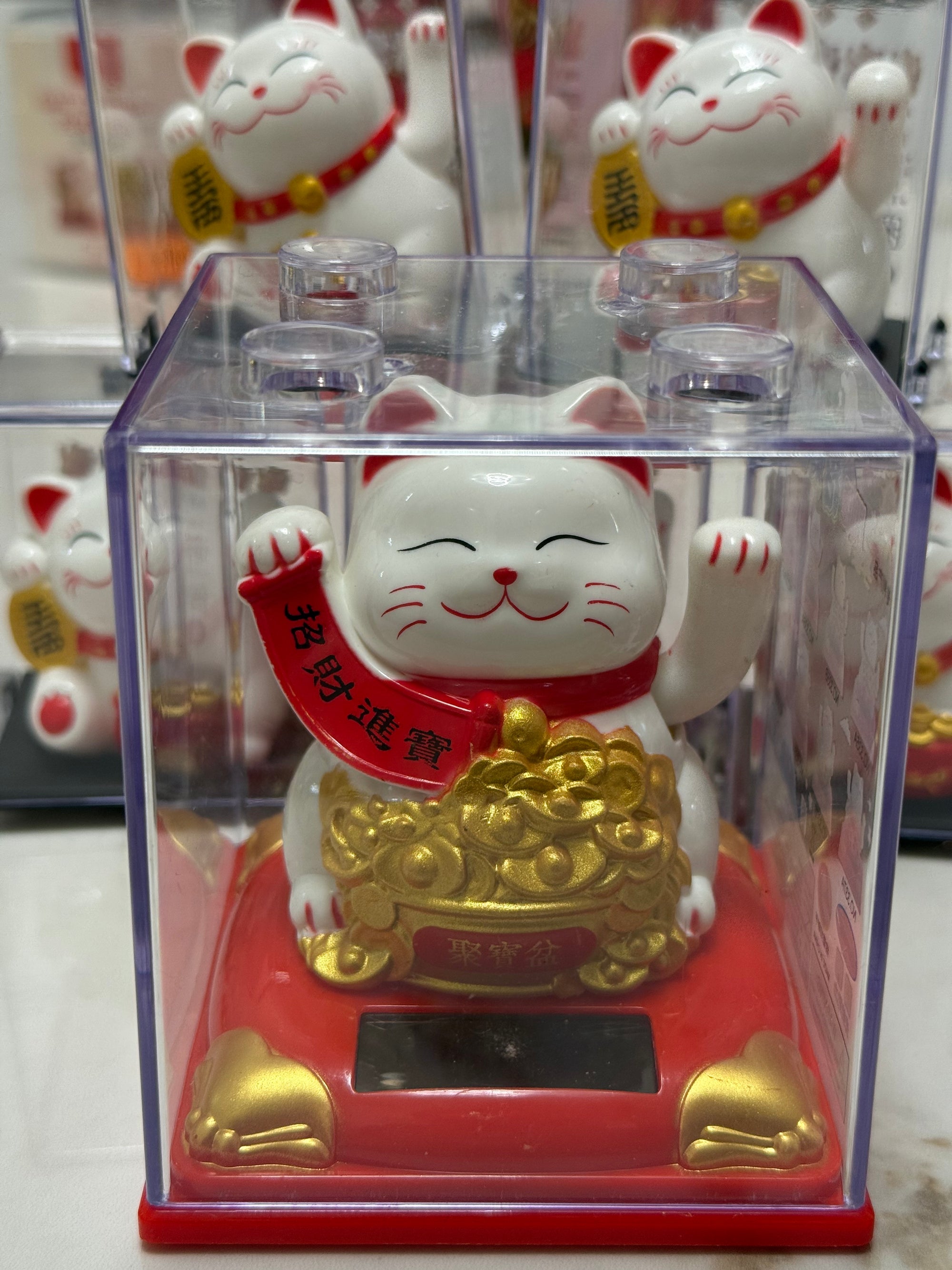 Gattini porta fortuna🐱