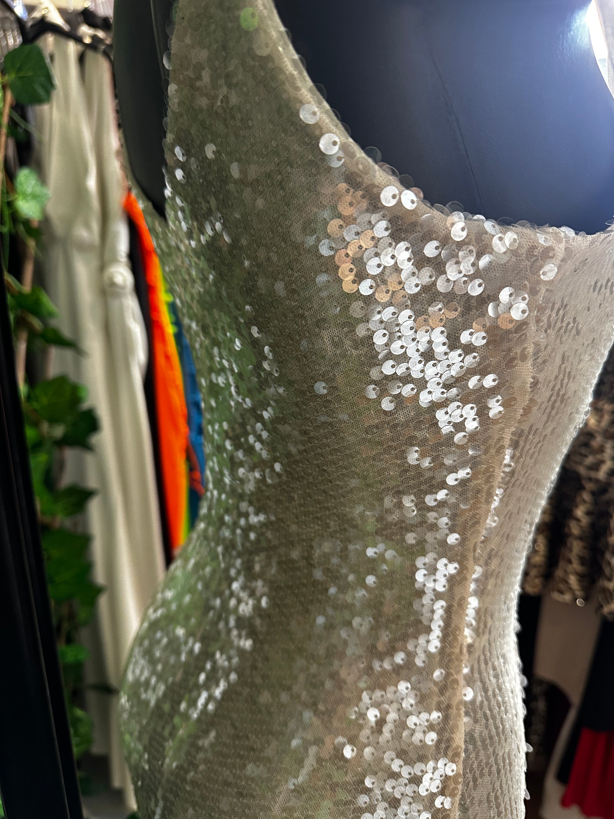 Vestito lungo elegante con le paillettes