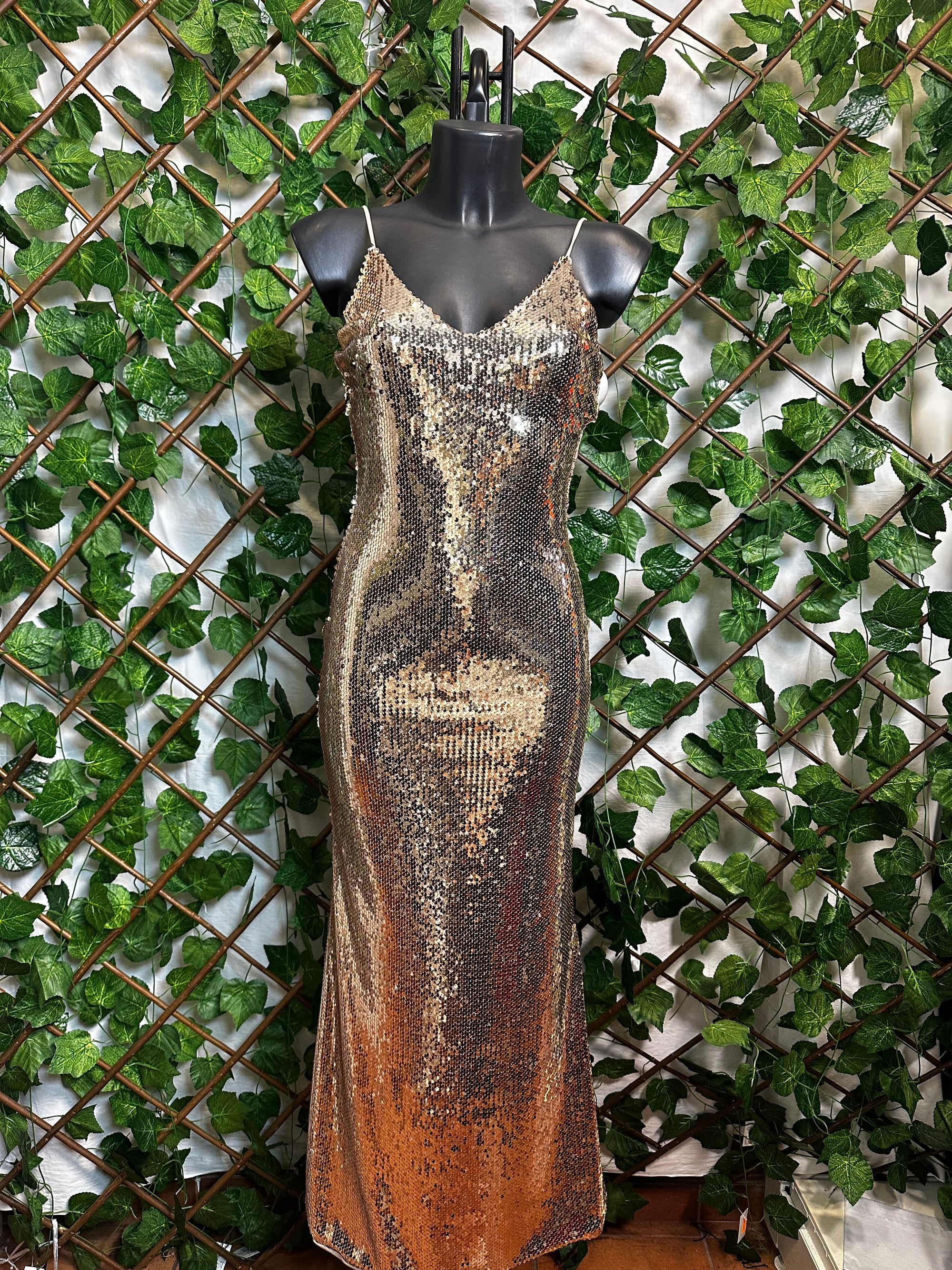 Vestito lungo elegante con le paillettes