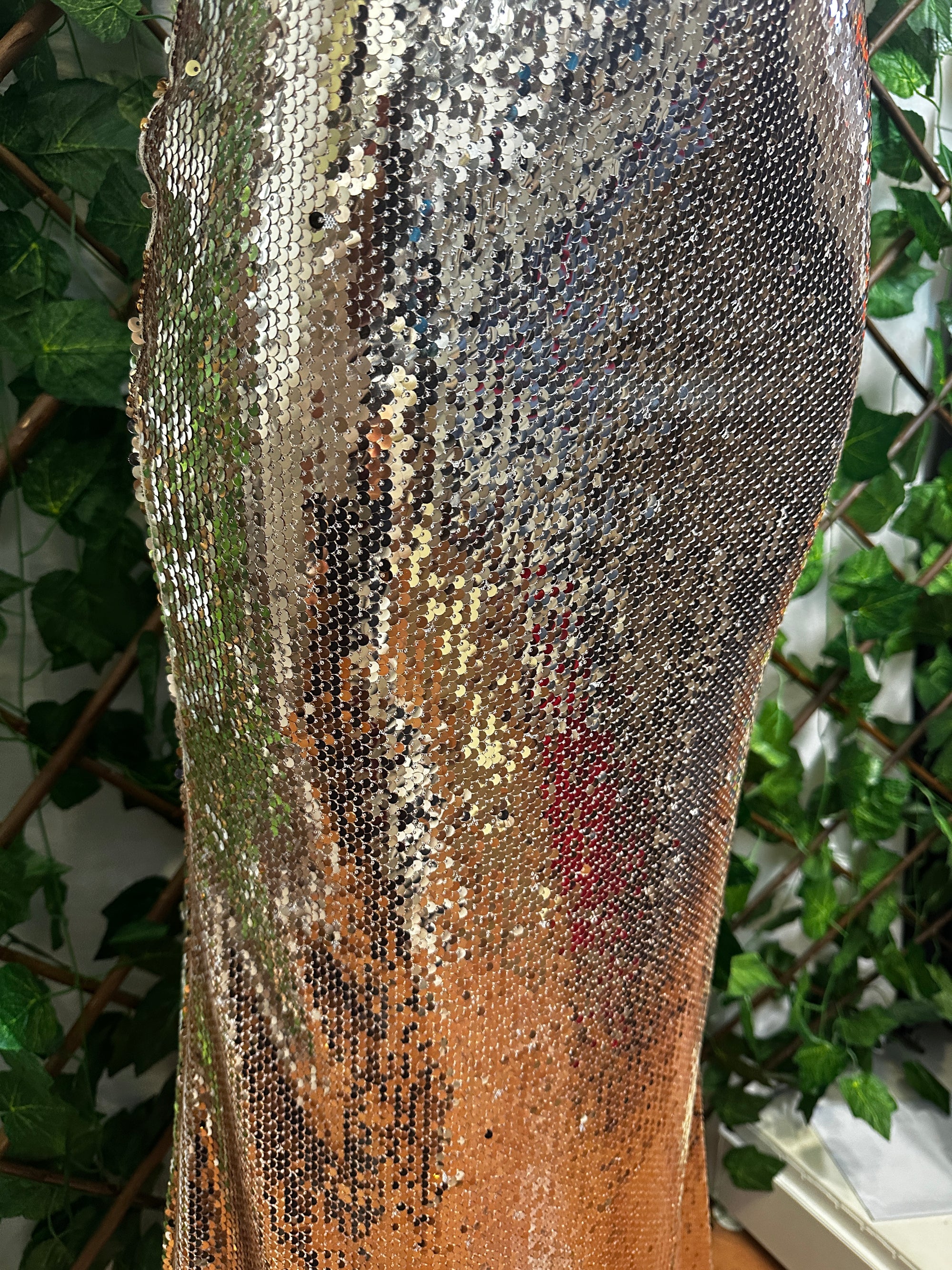 Vestito lungo elegante con le paillettes