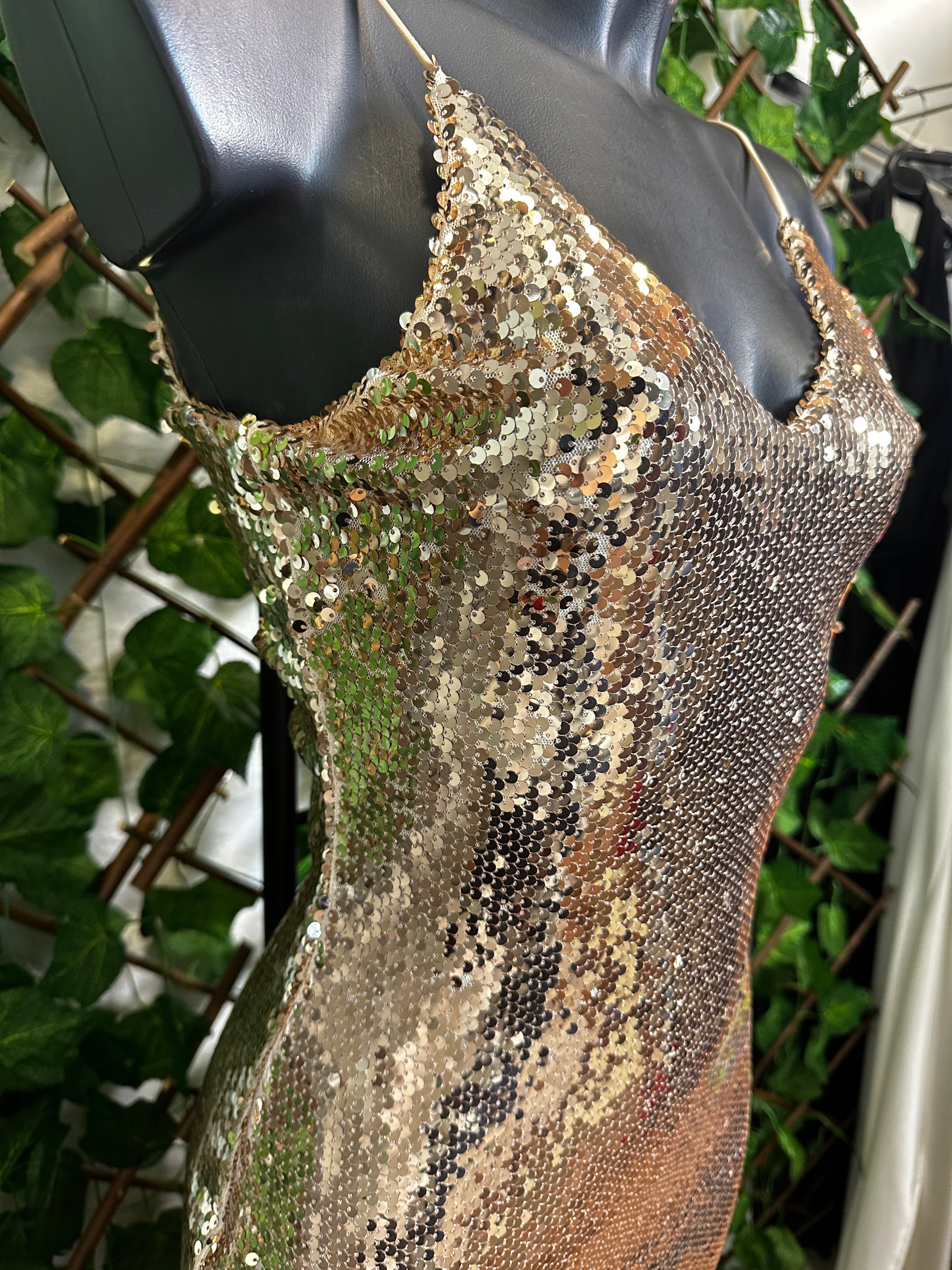 Vestito lungo elegante con le paillettes