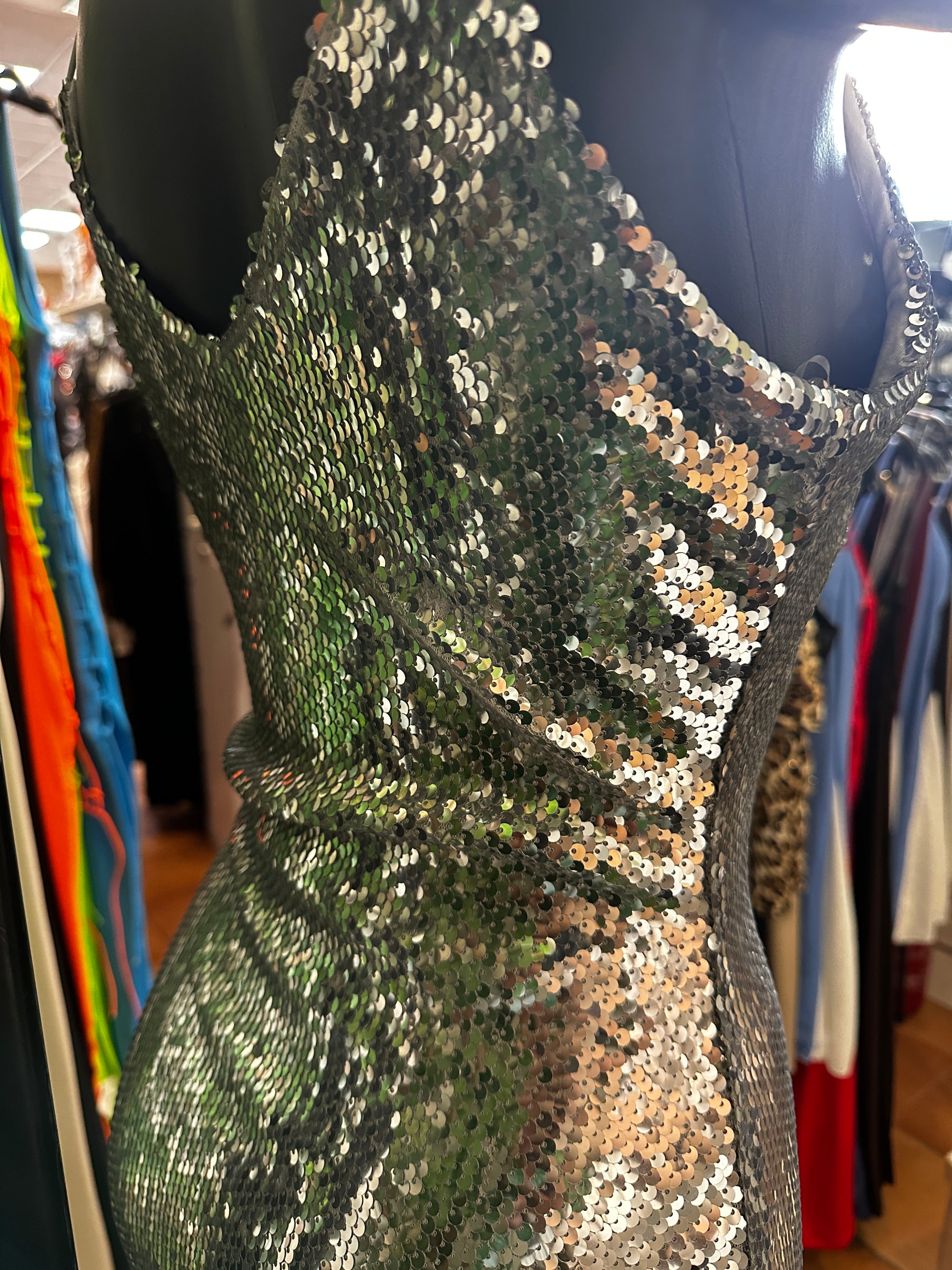 Vestito lungo elegante con le paillettes